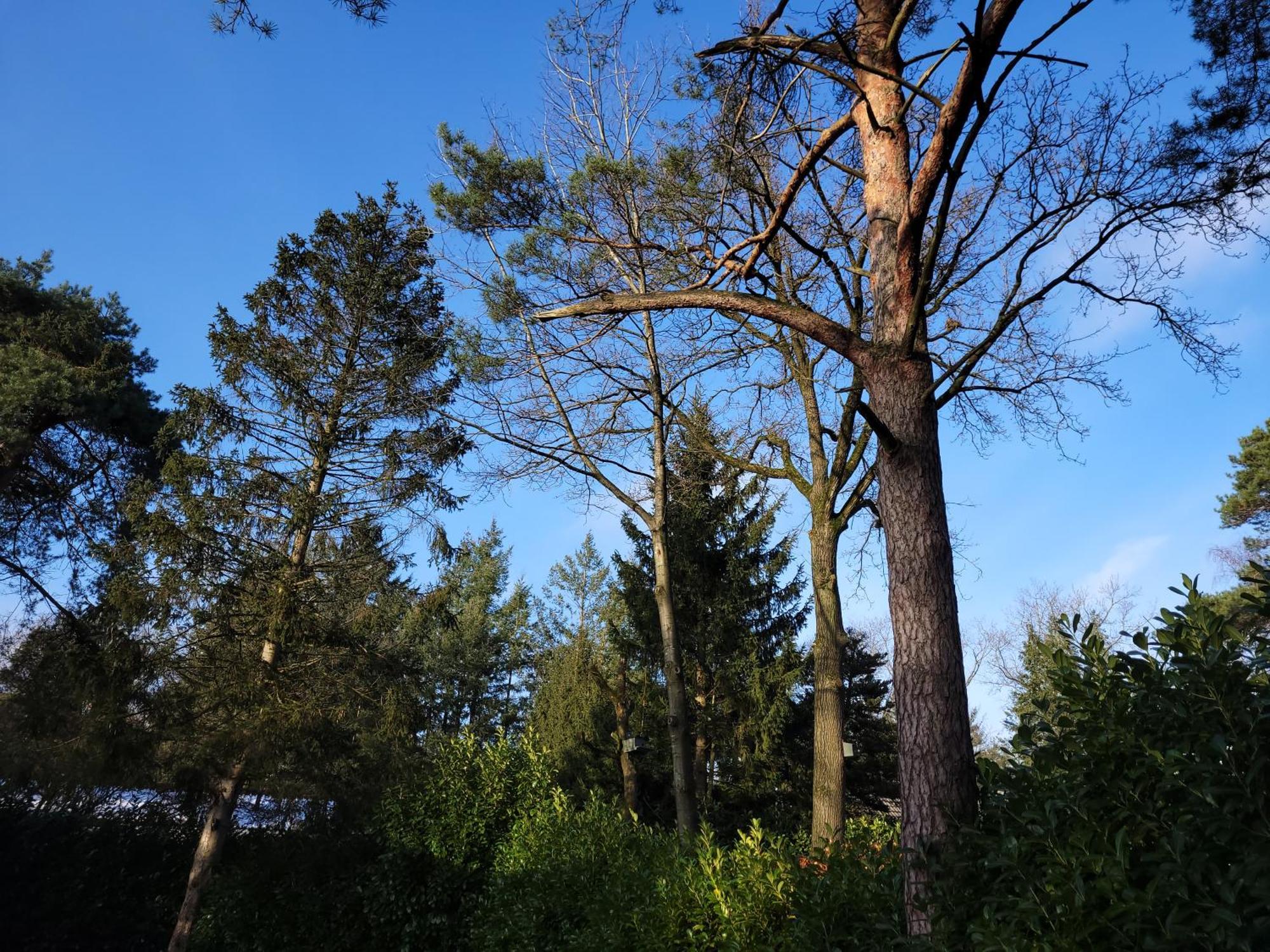 Secret Wellness Puur Natuur Holten Exterior foto