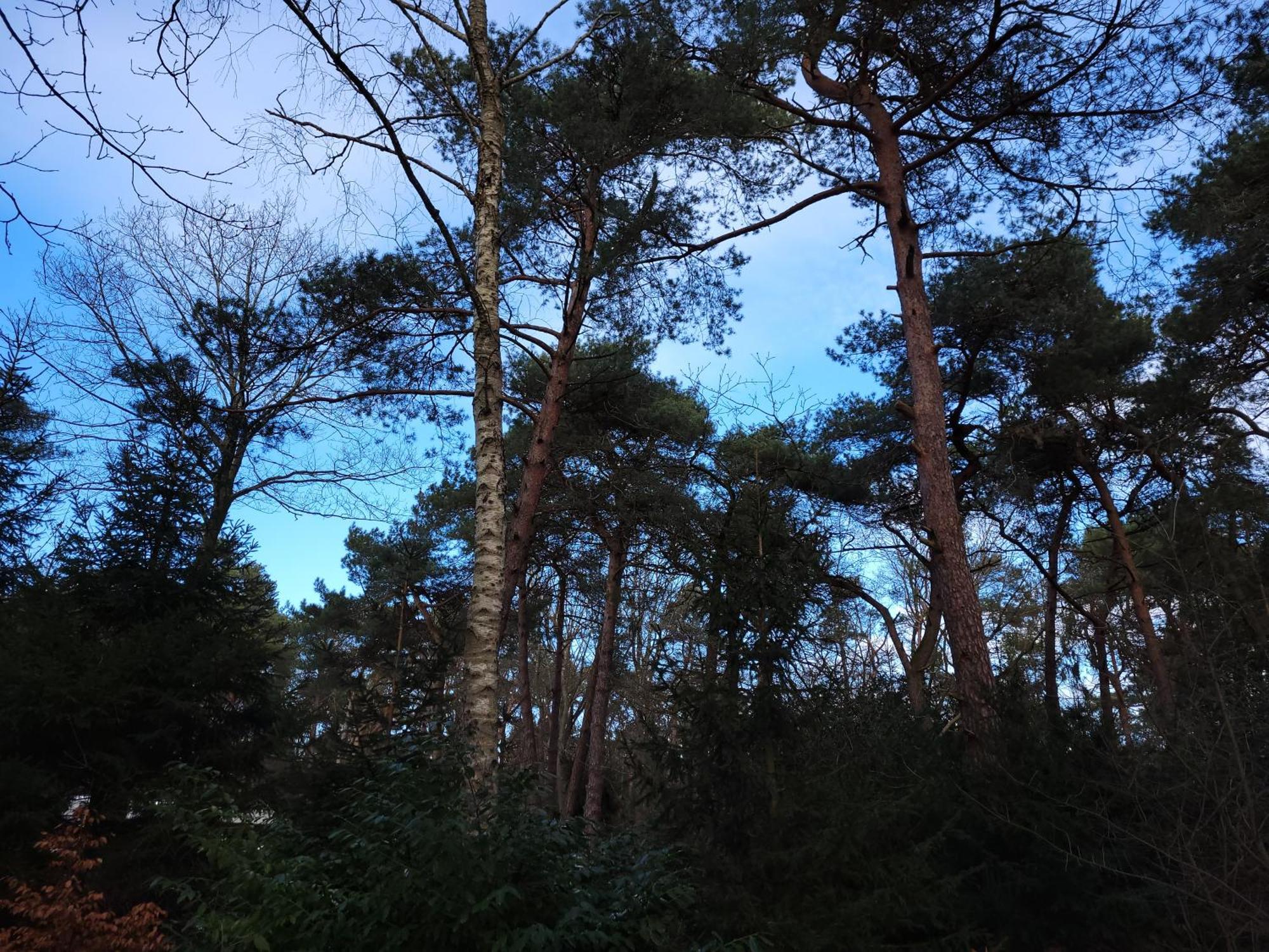 Secret Wellness Puur Natuur Holten Exterior foto